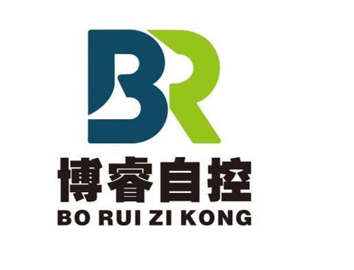 深圳市博睿自控技術(shù)有限公司